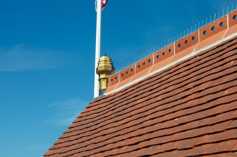 Saffron Walden Town Hall — image 8